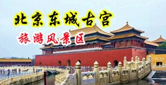 黑丝美女蜜穴内射中国北京-东城古宫旅游风景区
